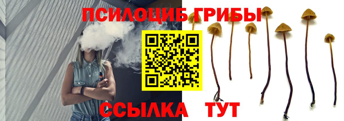 Галлюциногенные грибы GOLDEN TEACHER  Вход с VPN  Крымск 